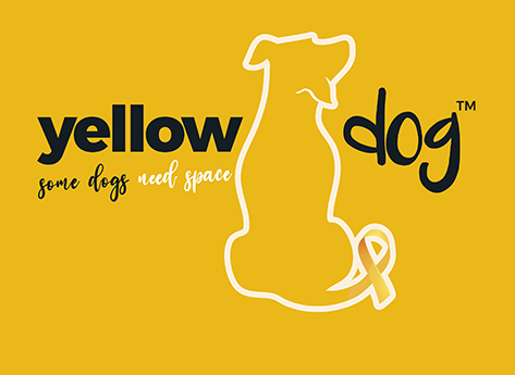 Yellow Dog Walks: What the Yellow Ribbon Really Means — and Why Some Dogs Just Need Space